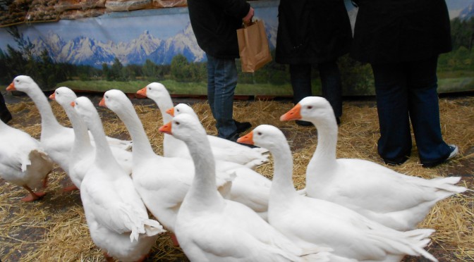 La Ferme Géante